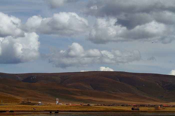 img3703_neo_img.jpg