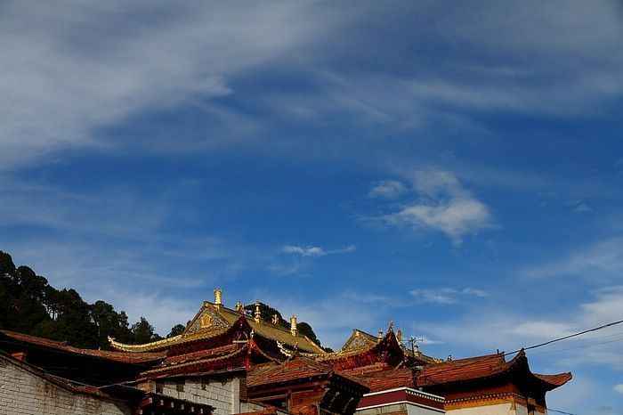 img4015_neo_img.jpg