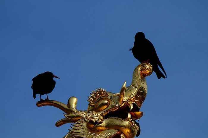 img4109_neo_img.jpg