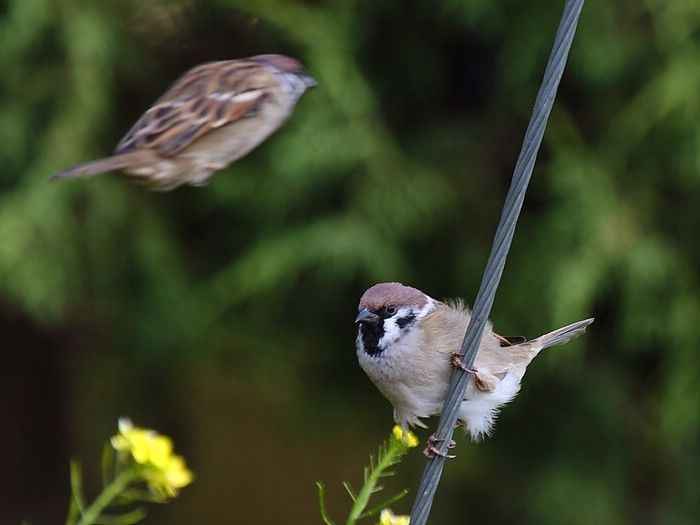 img4031_neo_img.jpg