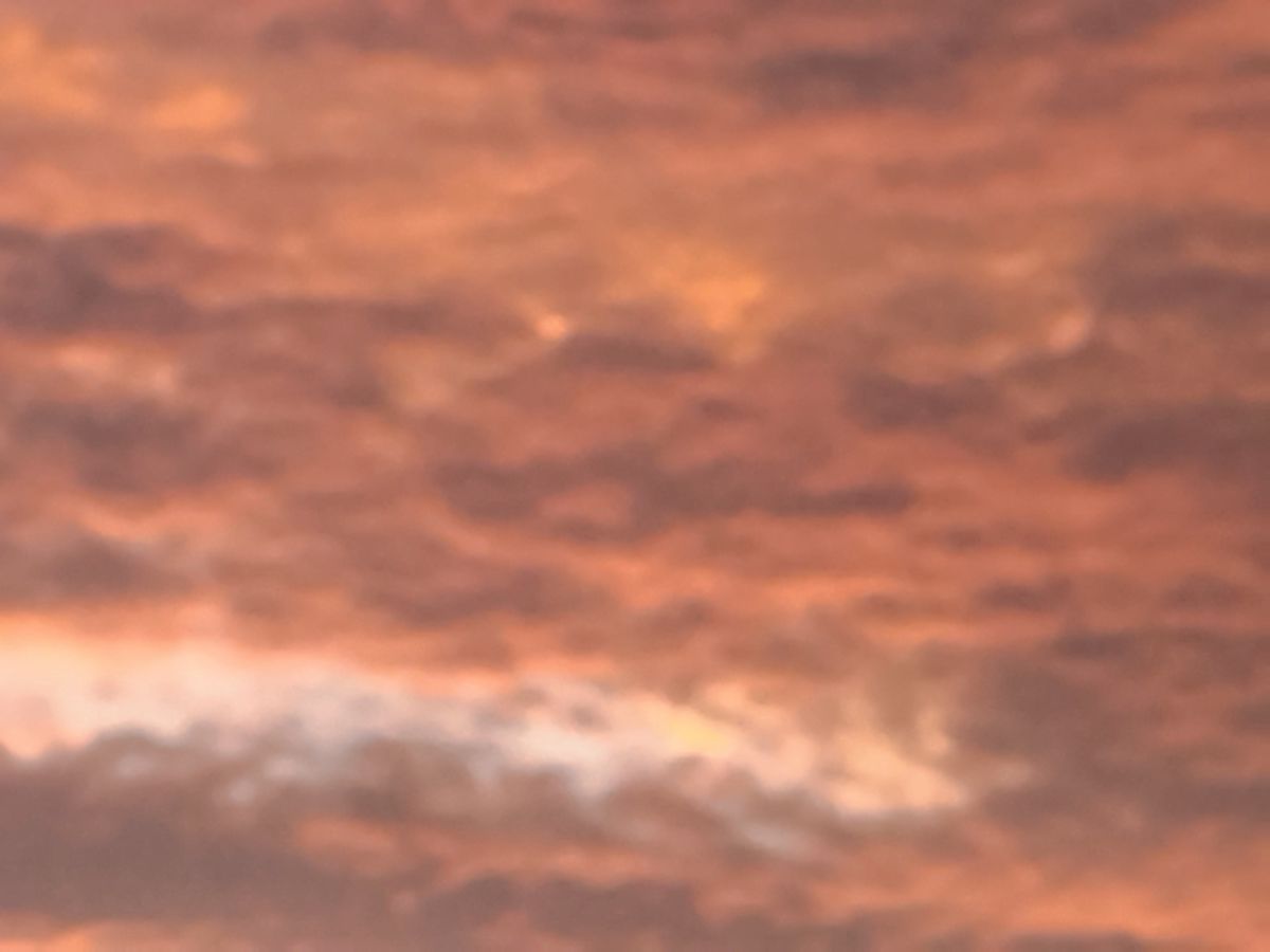 img_20250731_061819.jpg